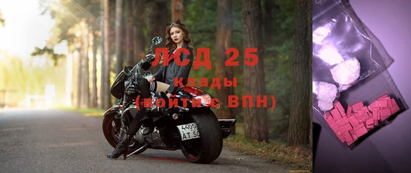 спайс Каменногорск