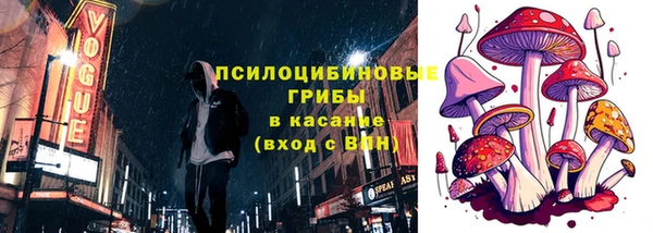 спайс Каменногорск